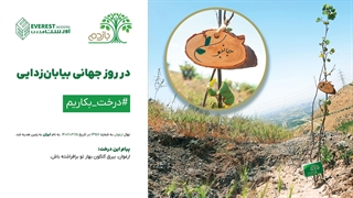 در روز جهانی بیابان زدایی معمولا چه کار می‌کنن؟