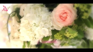 پروژه آماده پریمیر عروسی - دانلود پریمیر رایگان عروسی - ادوبیش