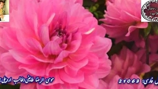 طوفان خیال طالب | غزل نغز | مجتهد شب عنایت معشوق | طالب اردبیلی