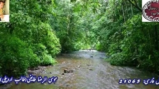 شعر شیوا و سلیس روزگارانم | شعر خوانی دلنشین شاعر آذربایجانی طالب