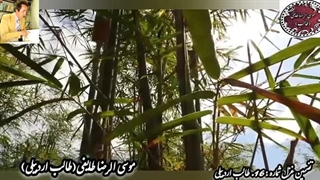 غزل امیر خسرو دهلوی | تضمین غزل از طالب اردبیلی | شعر ایام نوجوانی طالب