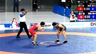 فینال کشتی ژاپن