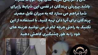 چرا برای پرورش ماکیان قفس بخریم ؟