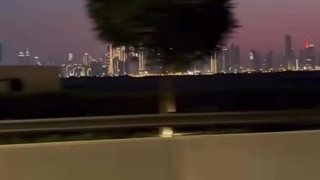 اولین ویدیو از ماه عسل محمدرضا گلزار و همسرش در دبی