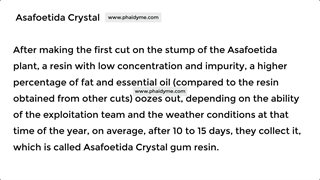 Hadda Hing - Nukra Hing - Phaidyme