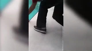 مجموعه جدید فوق باحال کارهای خنده دار حیوانات 2018