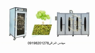 دستگاه خشک کن میوه و خط تولید میوه خشک
