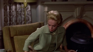 فیلم ترسناک پرندگان دوبله فارسی The Birds 1963