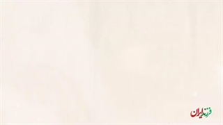 فرزند ایران | از ناسا تا تربیت نیروهای چریکی، این مرد در هر میدانی نابغه بود!