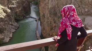 جاذبه گردشگری