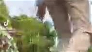 چالش تیک تاک