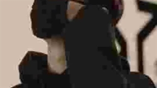 صبح خود را با جناب چا اون وو شروع کنییید...کپشننن