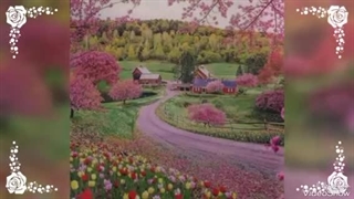 میکس زیبا با آهنگ هندی