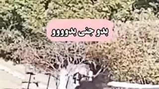 جنی در حال دویدن