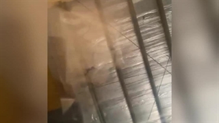 وکیوم بسته بندی مواد پودری | ویستا پک