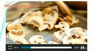 بذر قارچ صدفی