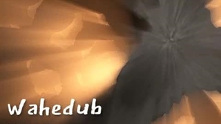 بیابیا اینجا