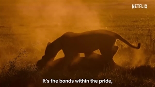 تریلر فیلم Surviving Paradise: A Family Tale 2022