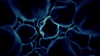 نانو الکتریک_پلاسمون(افشین رشید)