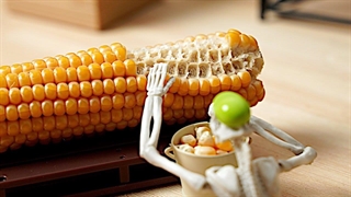 کارخانه پاپ کورن کوچک