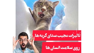 چیز های عجیبی که راجبه گربه ها نمیدونستی!؟!؟