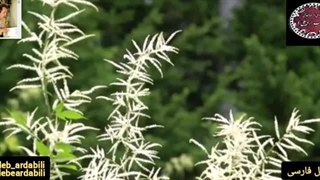 شعر و غزل فریبا و نوشین طالب اردبیلی | مومن 1 | طالب خوانی دلنشین سحر آقا کریمی