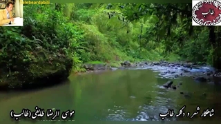 هوای عاشقی و خاطره از اشعار استاد غزل م.طایفی(طالب) با غزل دلبر