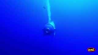 فشاراعماق اقیانوس تایتان را مچاله کرد، پس ماهی ها در آنجا چه میکنند؟