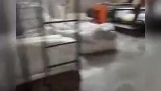 ارسالی های چاپ شاهان