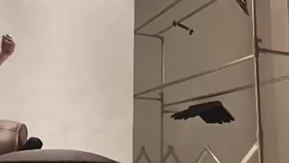 و بله حاجی جئون لایو تشریف داشتن...اهنگ جدید کوک seven تو راهه:)