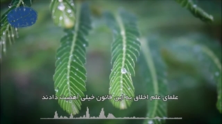 موانع سقوط انسان(آیت الله العظمی مظاهری)