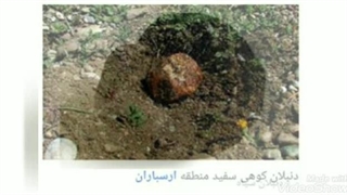 تولید بذر قارچ