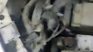 سرقت ایسیو ۲۰۶