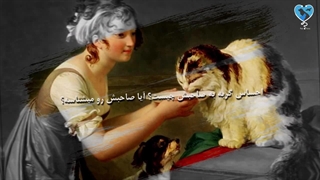 احساس گربه ها به صاحبشون چیه؟