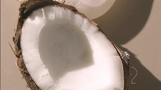 شامپو گندم و نارگیل لاونیچر