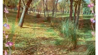 آموزش عکاسی ( گالری پاییز )