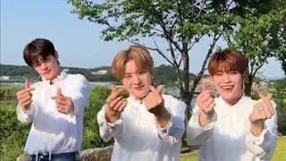 ⋆ آپدیت تیک تاک ` TikTok ` گروه زیروبیس‌وان " ZeroBaseOne " با متیو و گیووین و ته ره [ In Bloom-ZB1 ]