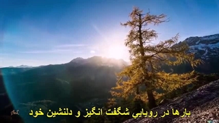 دکلمه ای از رادیو آبادان (1)