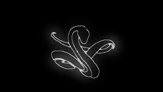 جذابیت د ایت THE8