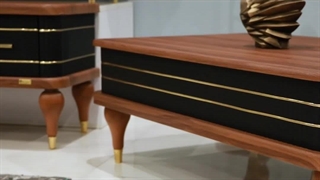 ست جلو مبلی و عسلی شیک