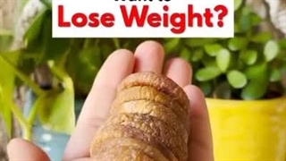 انجیر بندی فشرده ترکیه