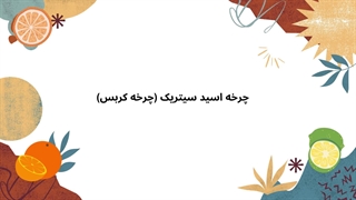 چرخه اسید سیتریک (چرخه کربس)