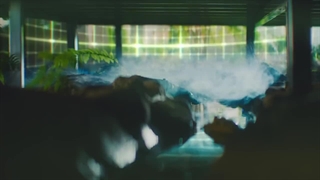 موزیک ویدیو In Bloom از ZEROBASEONE با زیرنویس فارسی