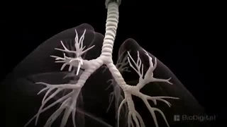 انیمیشن پزشکی سه بعدی - سرطان چیست؟