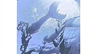 چیزای که هر تایپ بخاطر داشتنش اذیت میشه