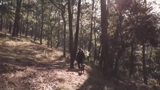 ویدیویی زیبا