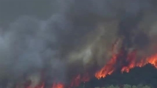 آتش سوزی براثر  گرمای شدید در جنگل های یونان