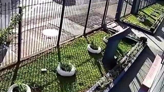 تصادف /پرواز عجیب خودروی سواری قبل از وقوع حادثه