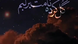 ای ذکر خواب هر شبم یابن الحسن...