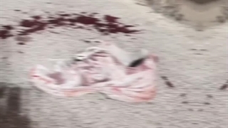 ،،،مجنون بود اما لیلی نبود لیلی رفته آنجا که حقش نبود،،،